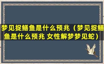 梦见捉鳝鱼是什么预兆（梦见捉鳝鱼是什么预兆 女性解梦梦见蛇）